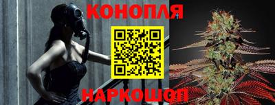 гидропоника Вязьма