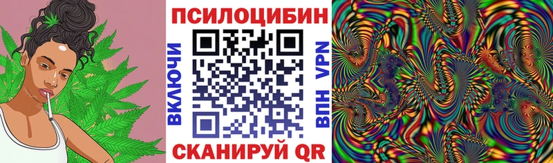 Галлюциногенные грибы Cubensis Курган