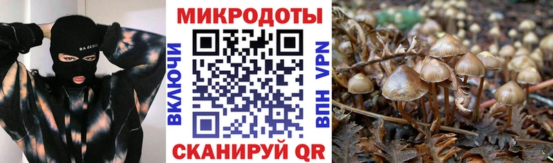 Галлюциногенные грибы ЛСД Курган