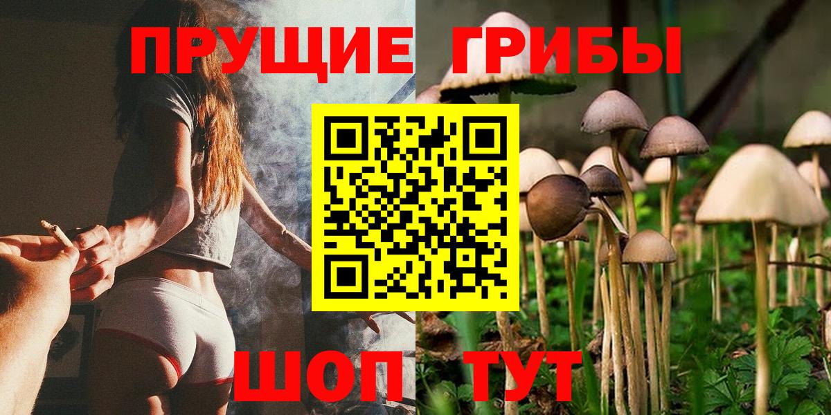 Галлюциногенные грибы Magic Shrooms Курган